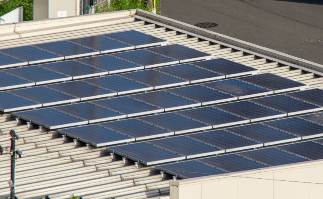 自然と人が共生する社会の実現